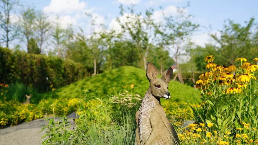世园会澳大利亚日,感受“慢生活”展园之美-27