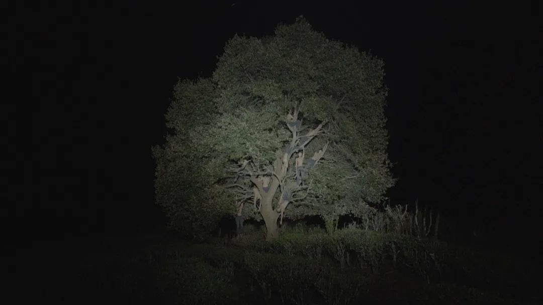 张怡与童文敏的艺术探索丨美凯龙艺术中心-88