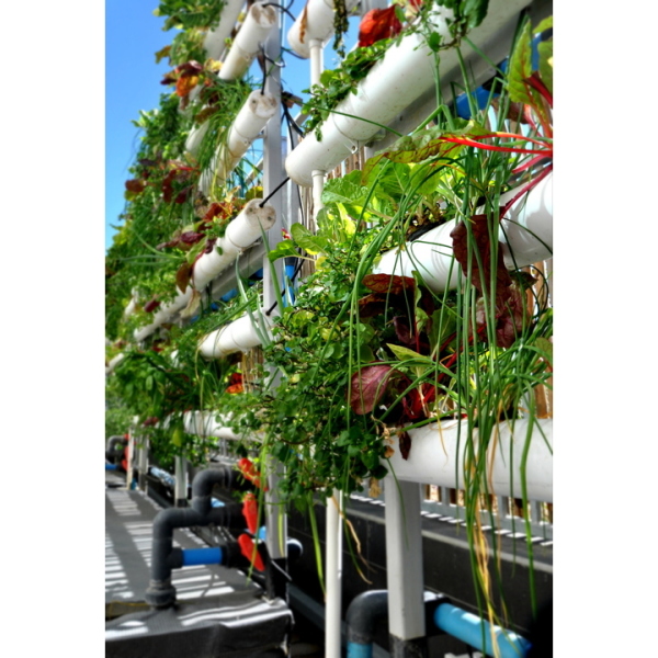 丨南非开普敦-36