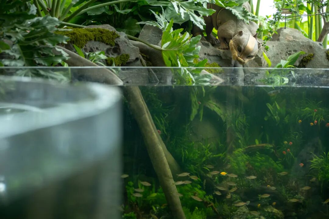 重庆光环花园城·世界树 光环2.0之机械魔法森林丨中国重庆丨WTD纬图设计-23