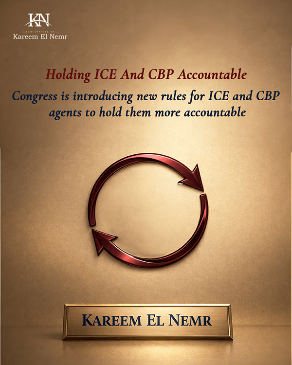 Immigration Law Branding & Content Design-5