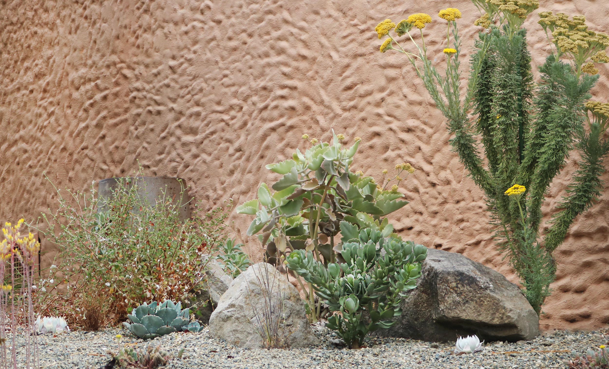 身边风景 | Soft Studio-100