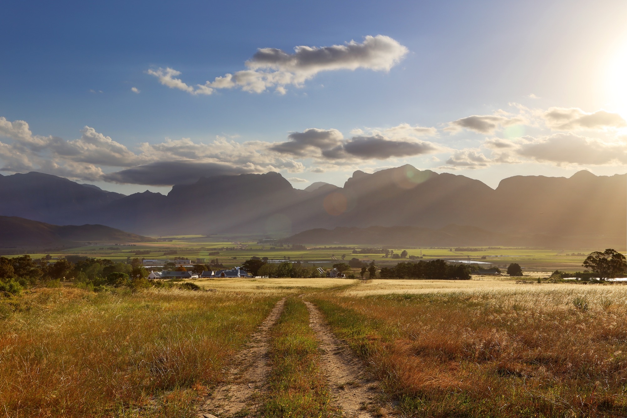 Bosjes Chapel / Steyn Studio-35