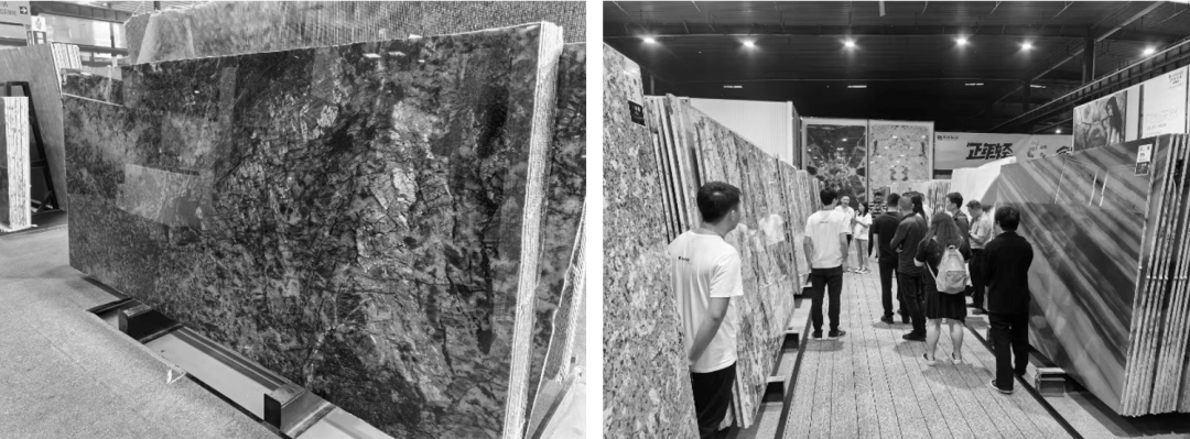 紫金·翡丽甲第丨中国苏州丨LANDAU朗道-100