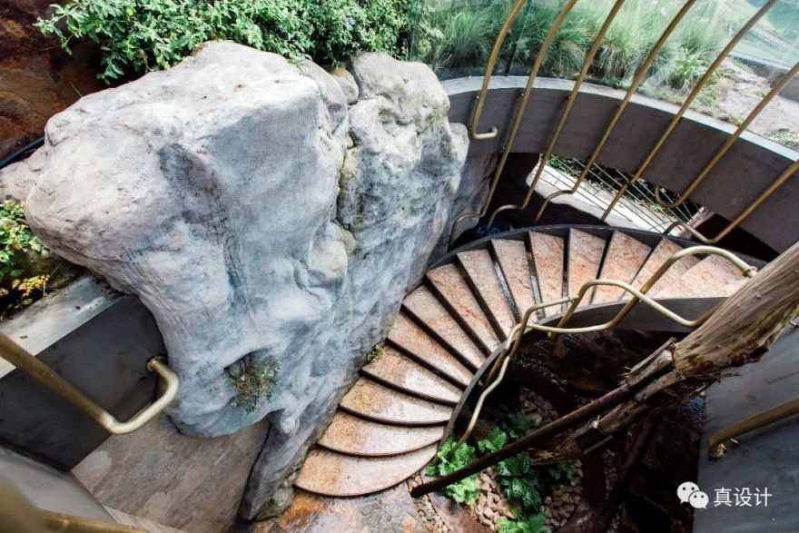 隐于市的百年个性花园——真味花园-50