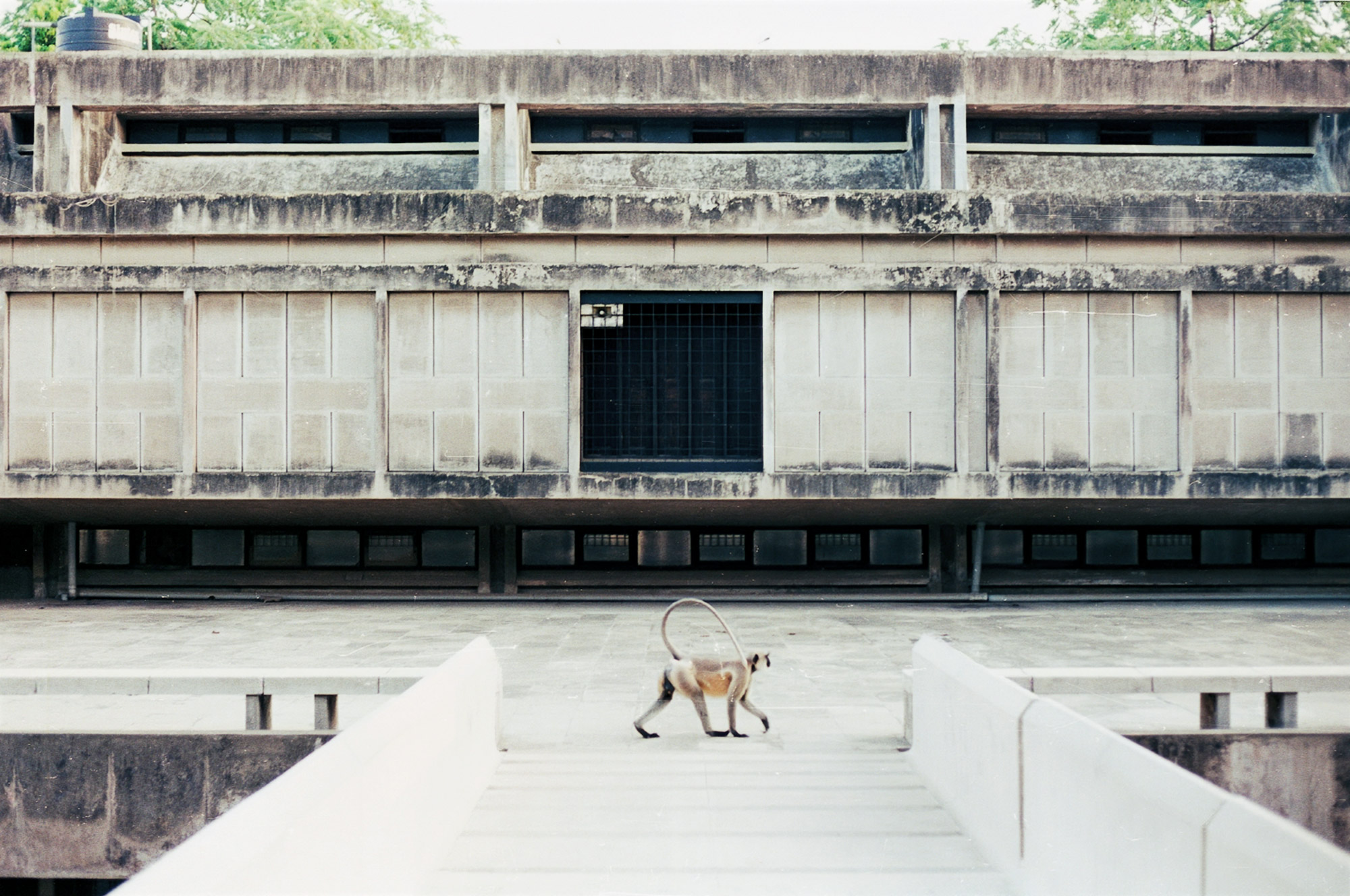 印度学研究所（The Institute of Indology）-53