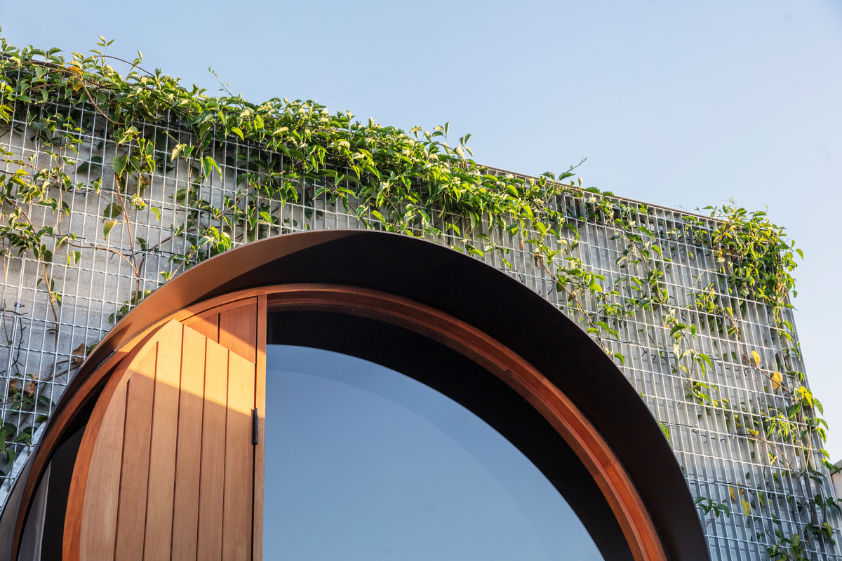 澳大利亚 Totoro 之家丨澳大利亚悉尼丨CplusC Architectural Workshop-25