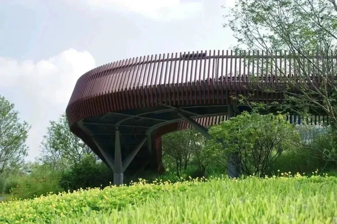 广州南岗河生态修复项目丨中国广州丨AECOM团队-61