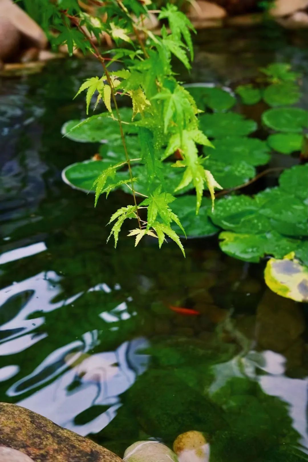 诗意小院设计丨禾景装饰工程有限公司-47