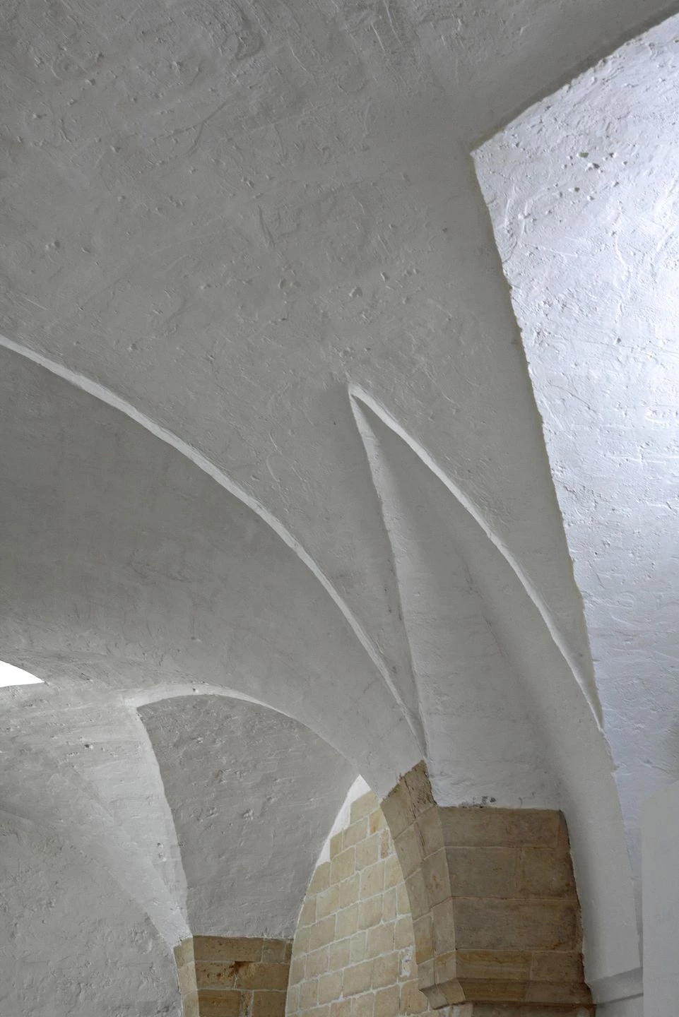 意大利古老油磨坊的现代重生-29