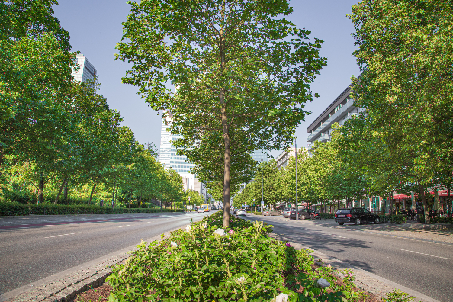 Zielona Świętokrzyska（绿圣十字街项目）丨波兰华沙-15