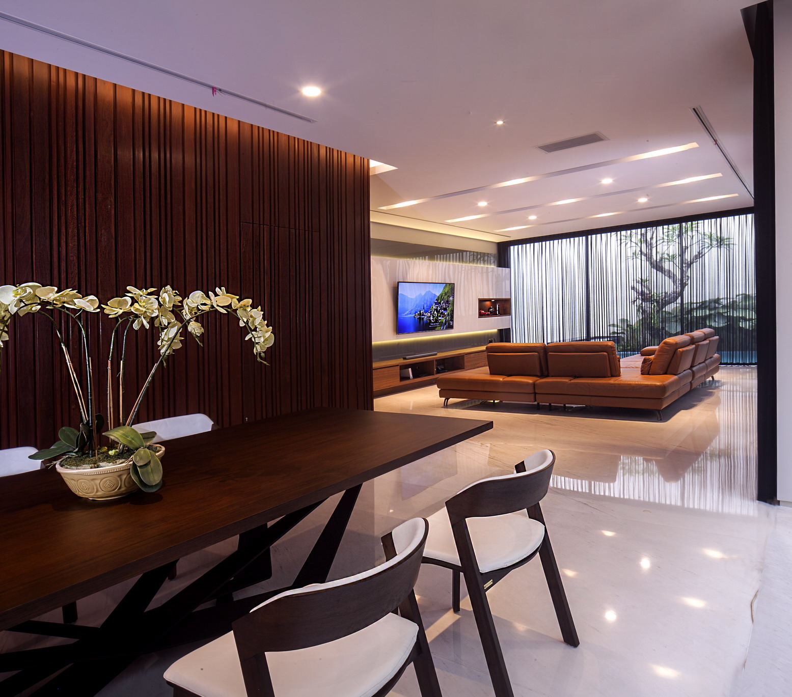 the skylight house-16