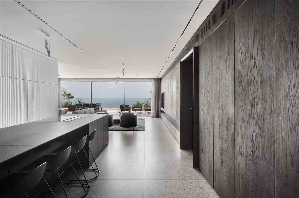 里森勒齐翁顶层海景公寓丨以色列丨Erez Hyatt 建筑工作室-8