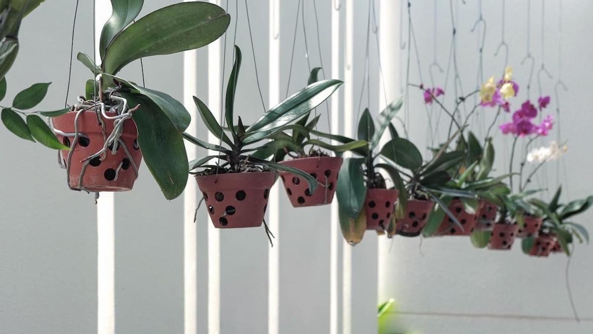 Phan Rang 住宅区的气候适应性设计-58