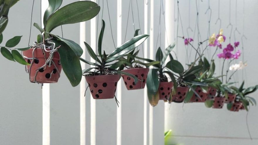 Phan Rang 住宅区的气候适应性设计-58