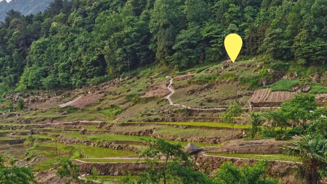 《青榭竹里》 | 即兴创作实践,重拾建筑温度-30