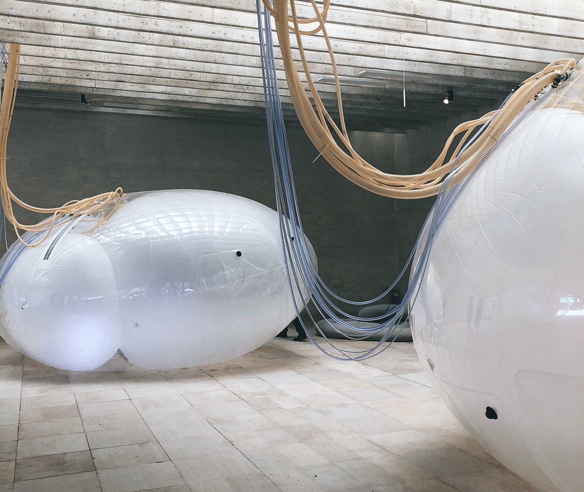 2018 威尼斯建筑双年展丨意大利-10