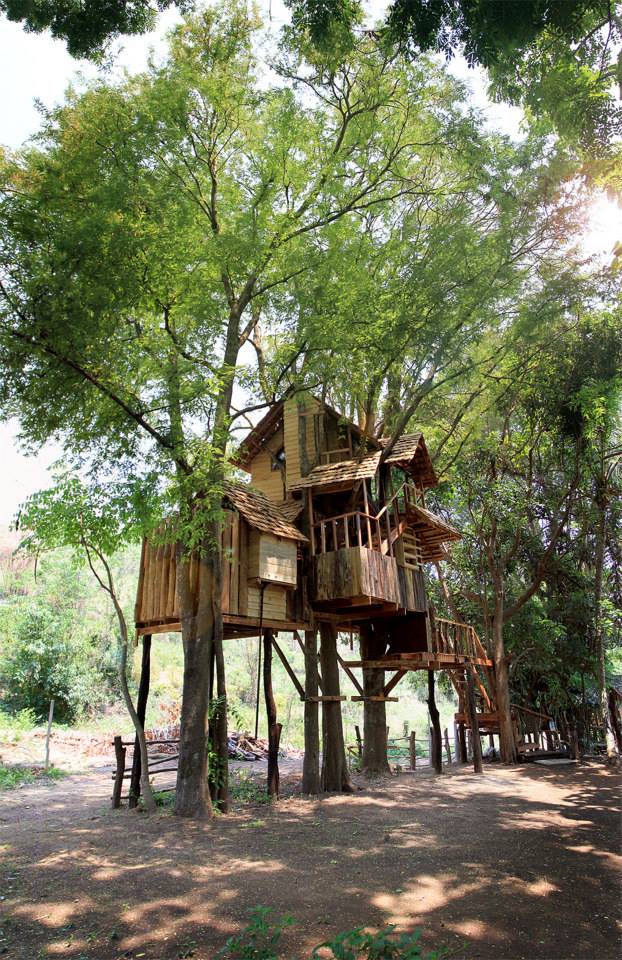 两层树屋（Treehouse）-17
