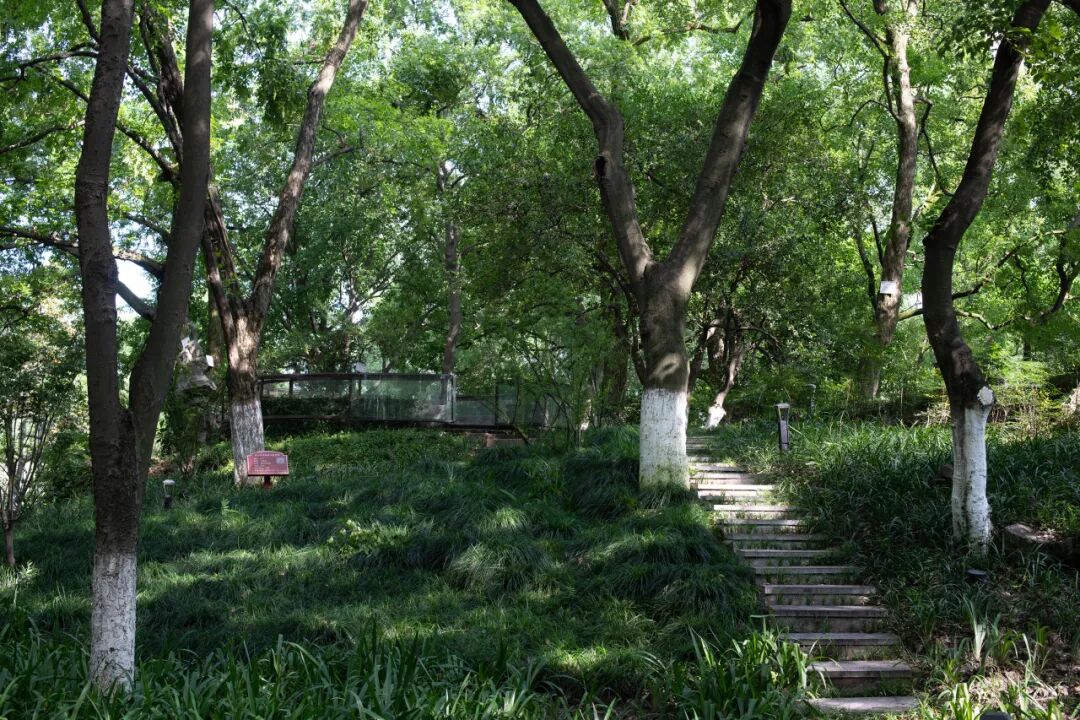 ASLA获奖作品 连接过去和未来的城市绿洲——嘉兴火车站景丨中国嘉兴丨致舍景观-37