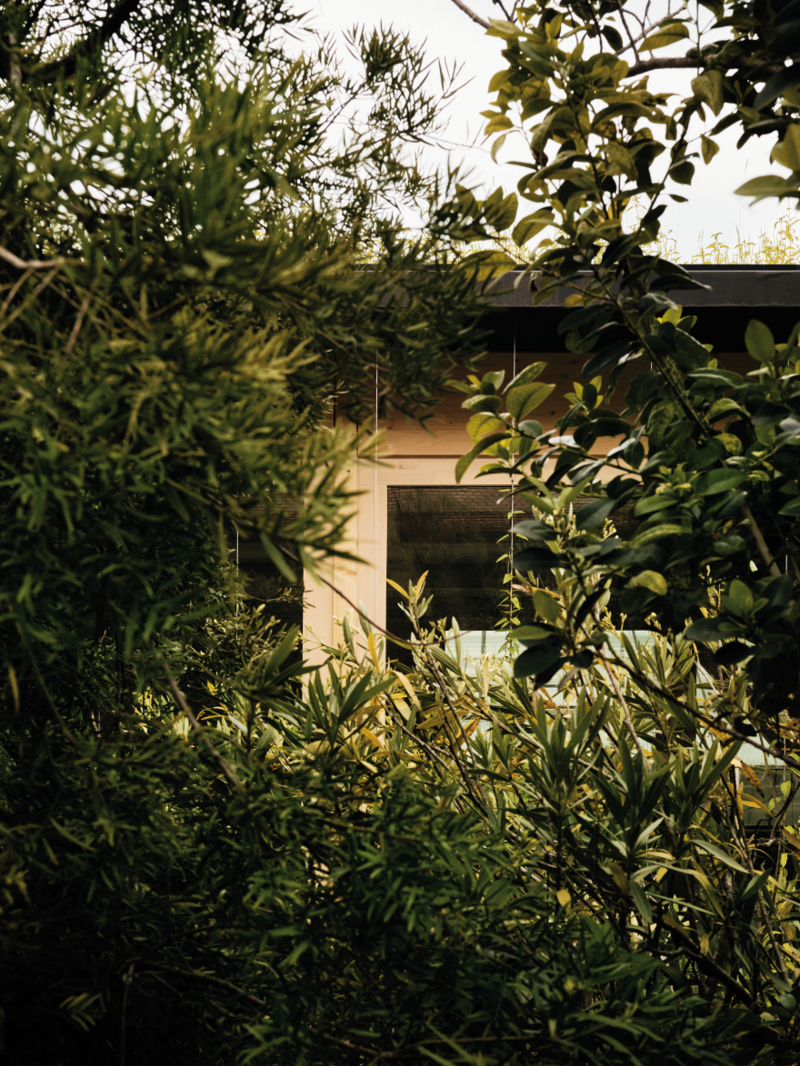 绿色亭馆 · 以植物为设计灵感的环保建筑-18