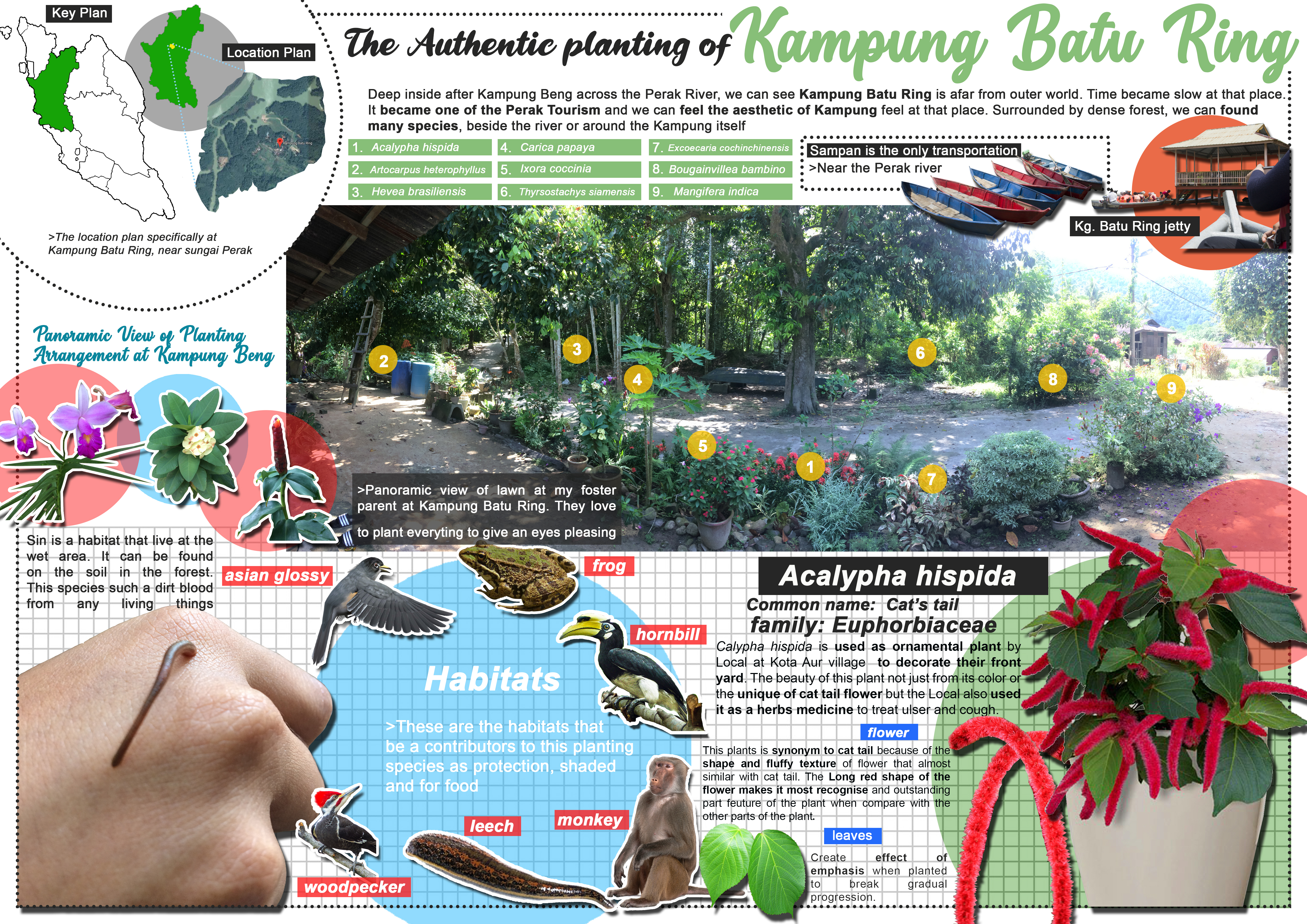 The Authentic Planting_231219 | Planting Design-0