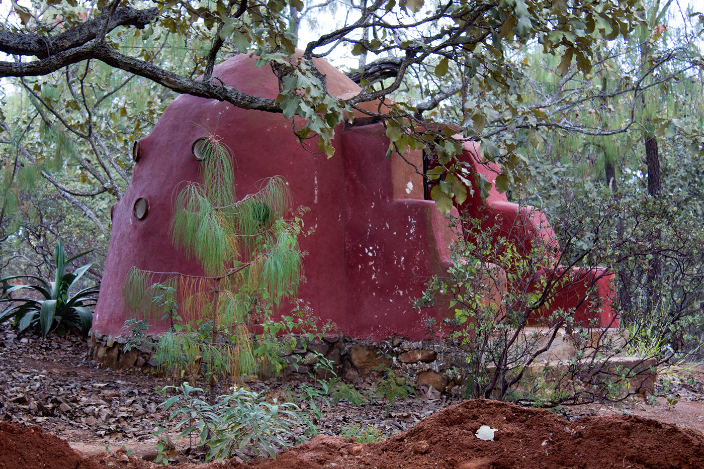 Km 4 Camino A Citala-4