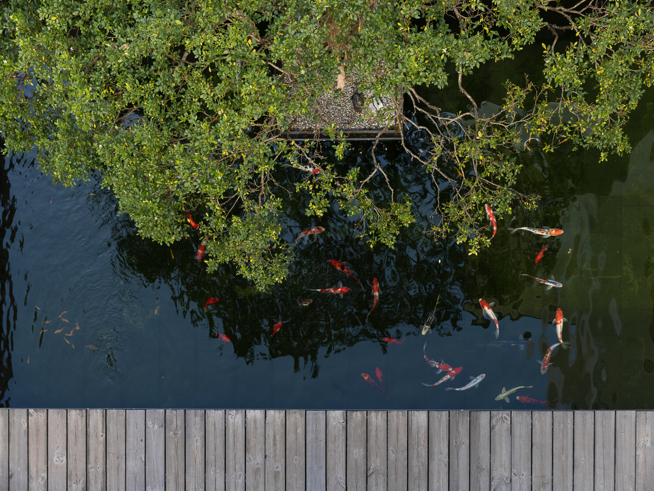 私宅别墅丨中国福州丨林开新-69