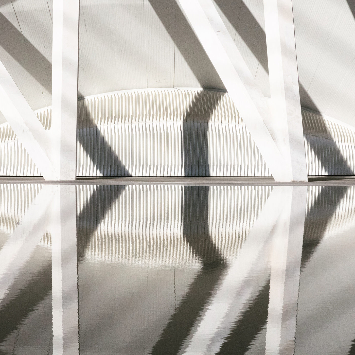 剧中人物八丨丹麦-13