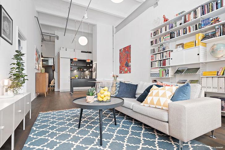 斯德哥尔摩旧工厂变身现代宽敞公寓-4