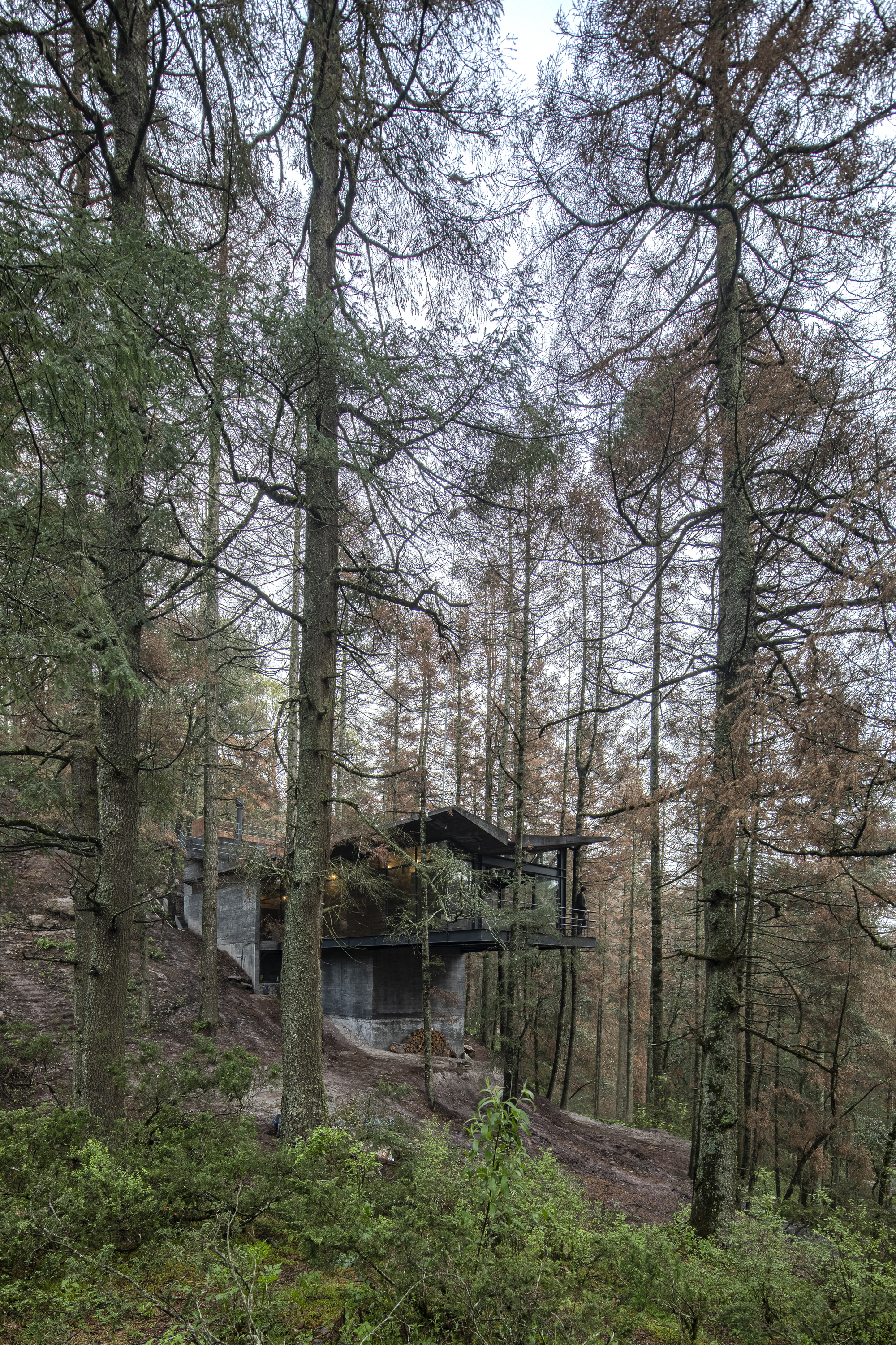 奥鲁克之家丨墨西哥丨saavedra arquitectos-21