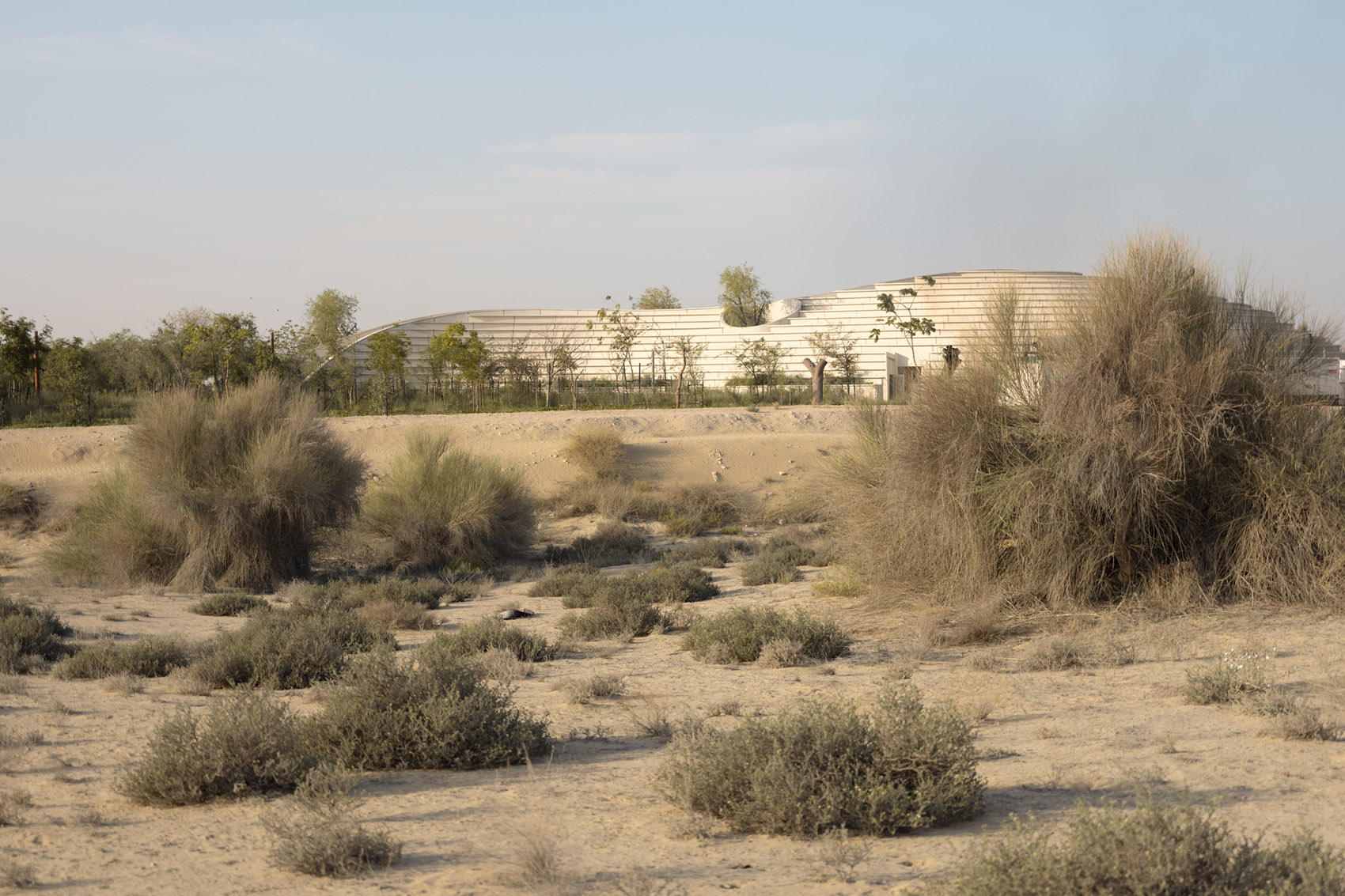 Ghaf Woods体验中心丨阿联酋迪拜丨竞赛和方案设计为aoe事建组,扩初及后续为STUDIOI-8