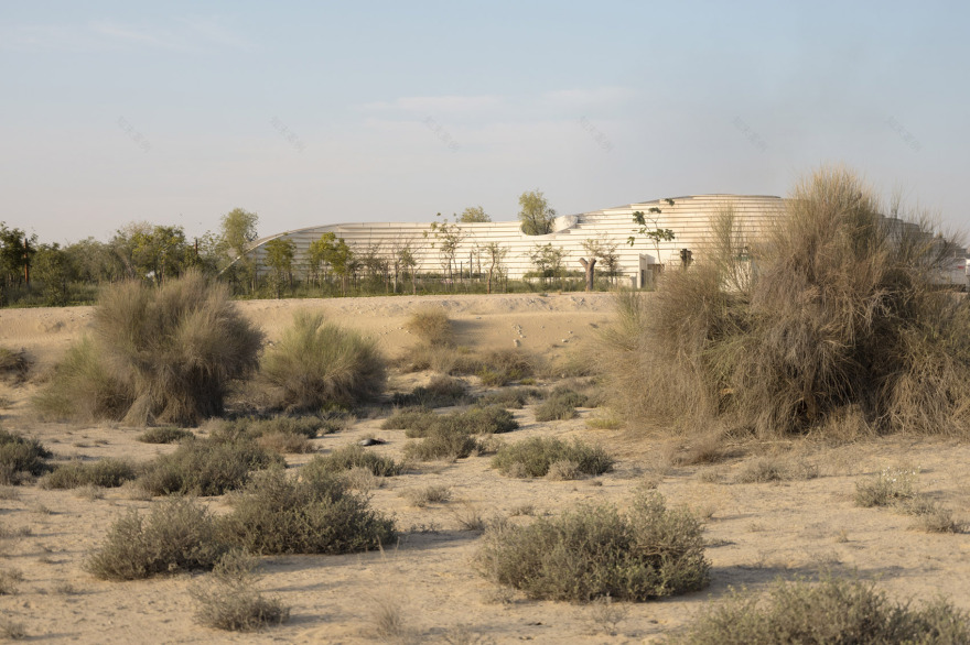 Ghaf Woods体验中心丨阿联酋迪拜丨竞赛和方案设计为aoe事建组,扩初及后续为STUDIOI-8