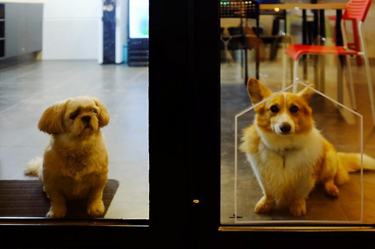 韩国忠清南道私人住宅丨designband YOAP architects-29