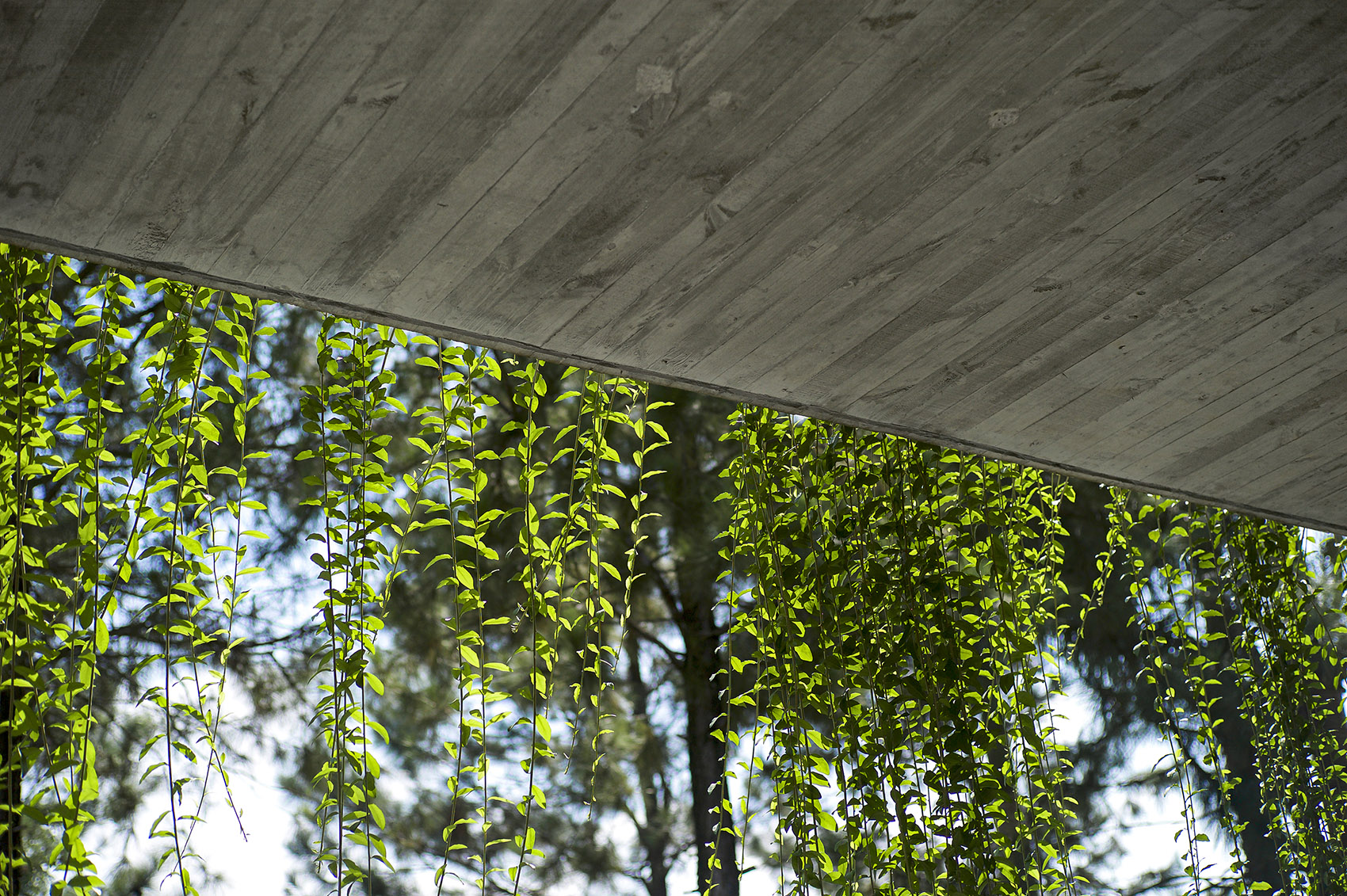 LP别墅丨越南河内丨NghiaArchitect-90