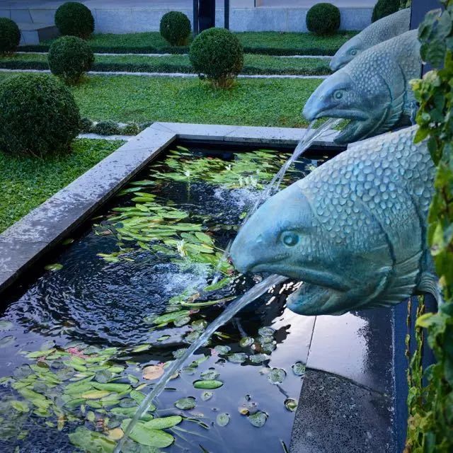 世园会澳大利亚园丨中国北京-113