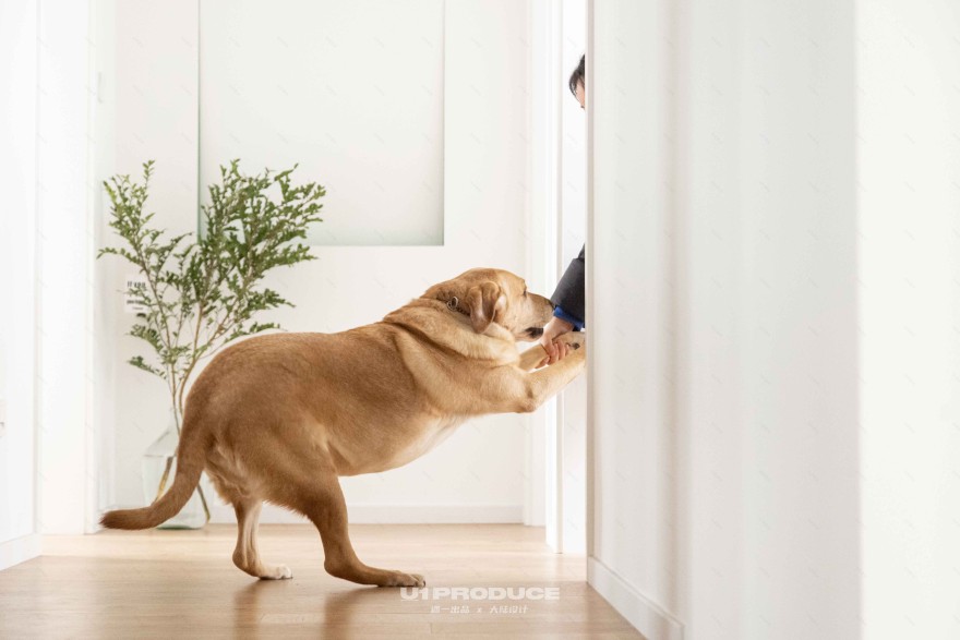 老房爆改轻法式丨大陆-82