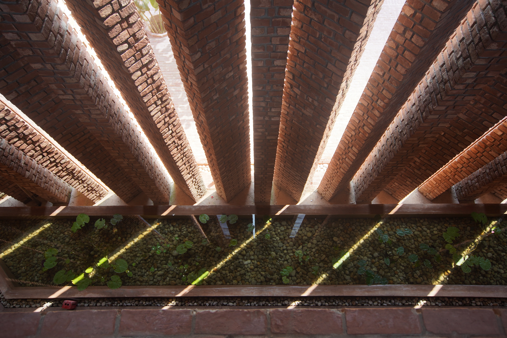 丨孟加拉国丨Archeground Ltd.-24