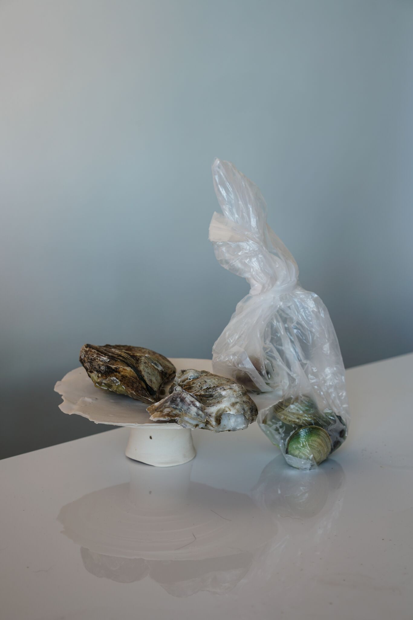 Returning to the Earth for Answers ⏤ In Interview With Alana Wilson and Romy Northover — anniversary magazine-5