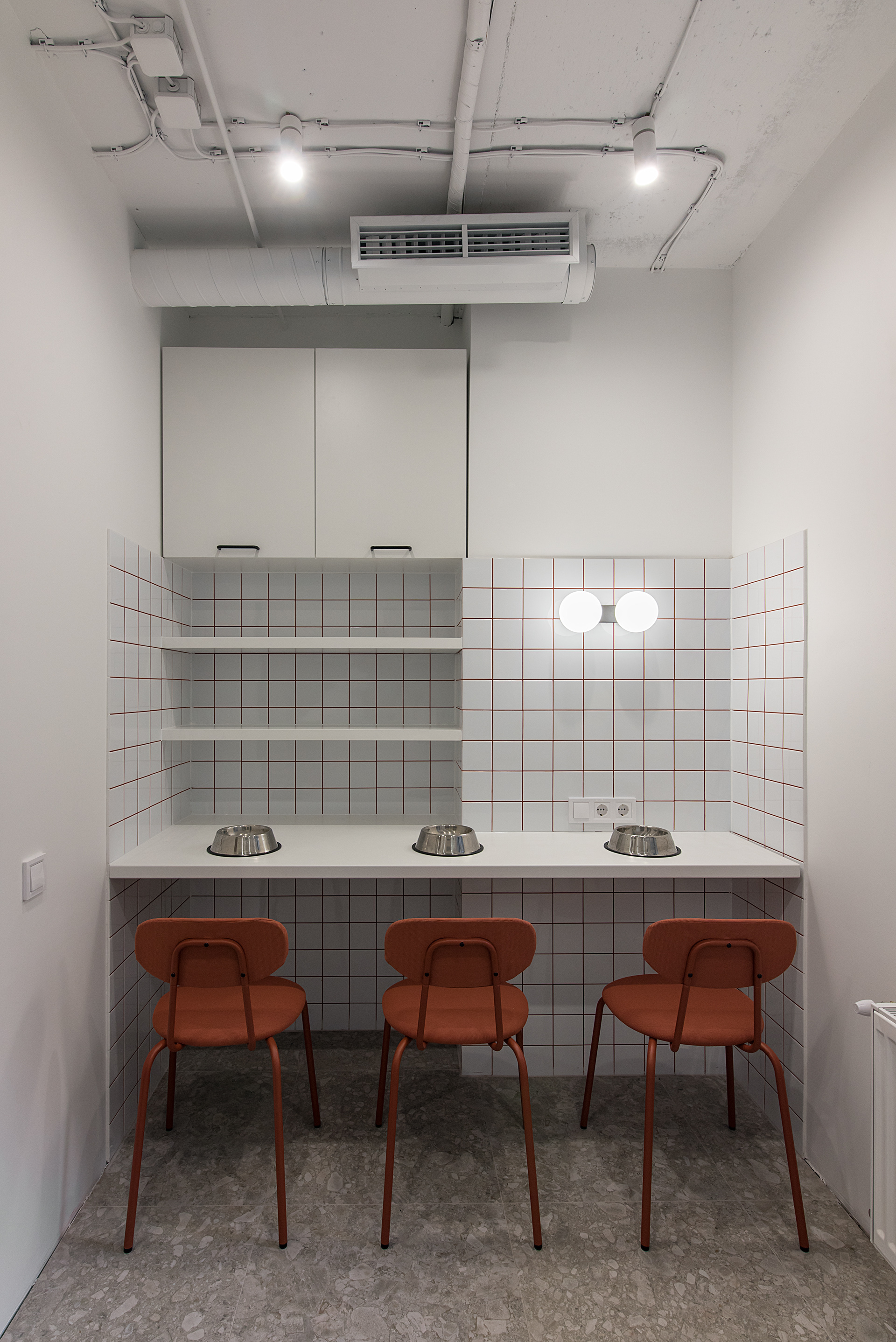 宠物医院丨乌克兰基辅-49