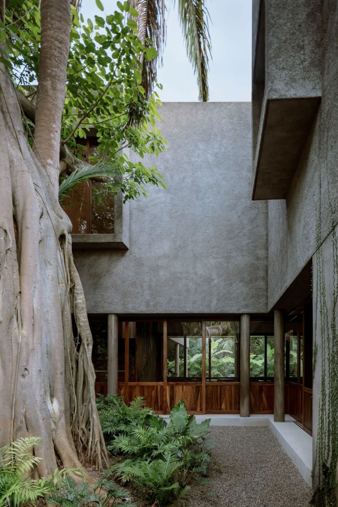 COA Arquitectura 建筑事务所丨墨西哥瓜达拉哈拉-32