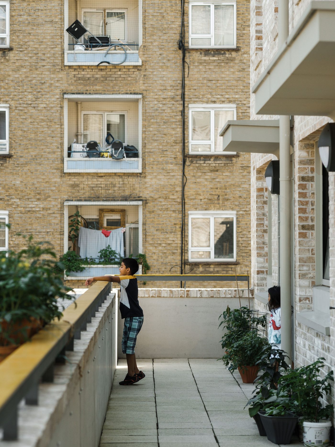 Regents Park Infill Sites shortlisted for the Camden Design Awards 2022
                    -3