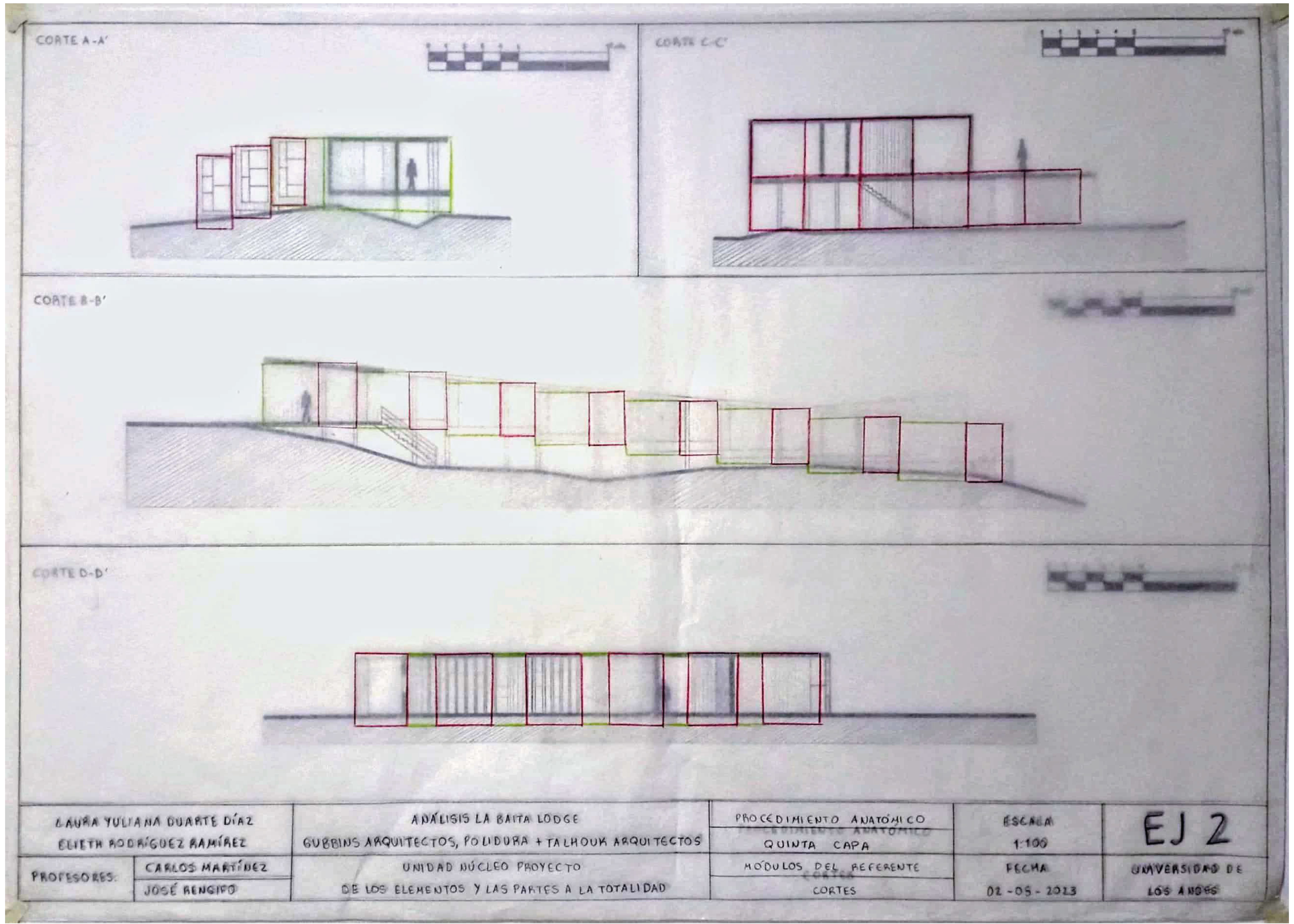 ARQT 2101 - Procedimiento anatómico 2-16