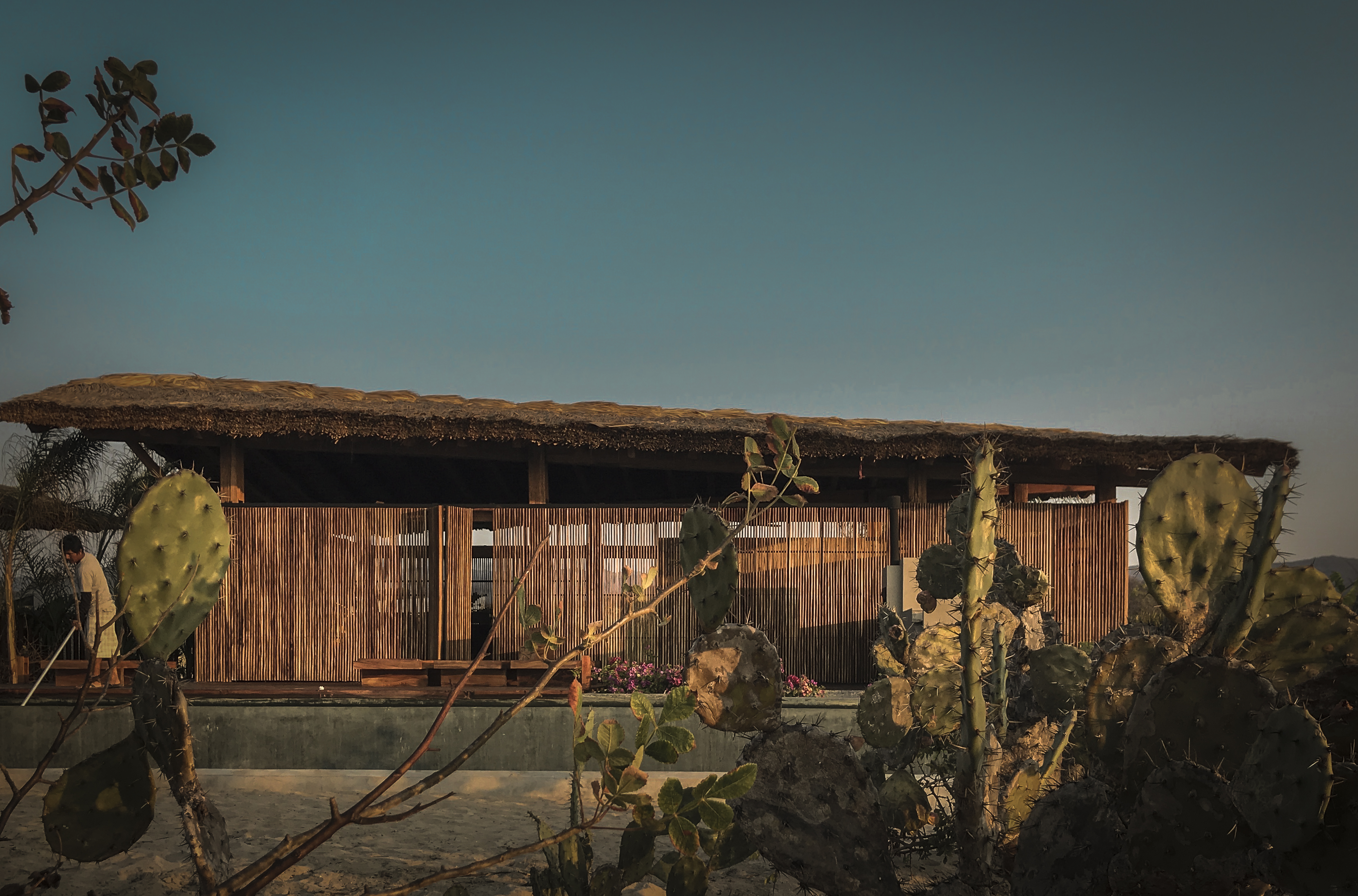 卡萨阿尔塔内拉丨TAC-8