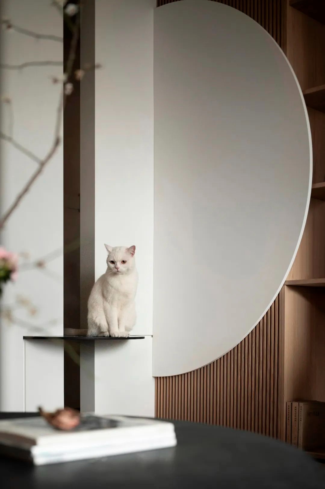 成都凯德世纪名邸简约宜居之家丨中国成都丨四川关築空间建筑设计事务所有限公司-0