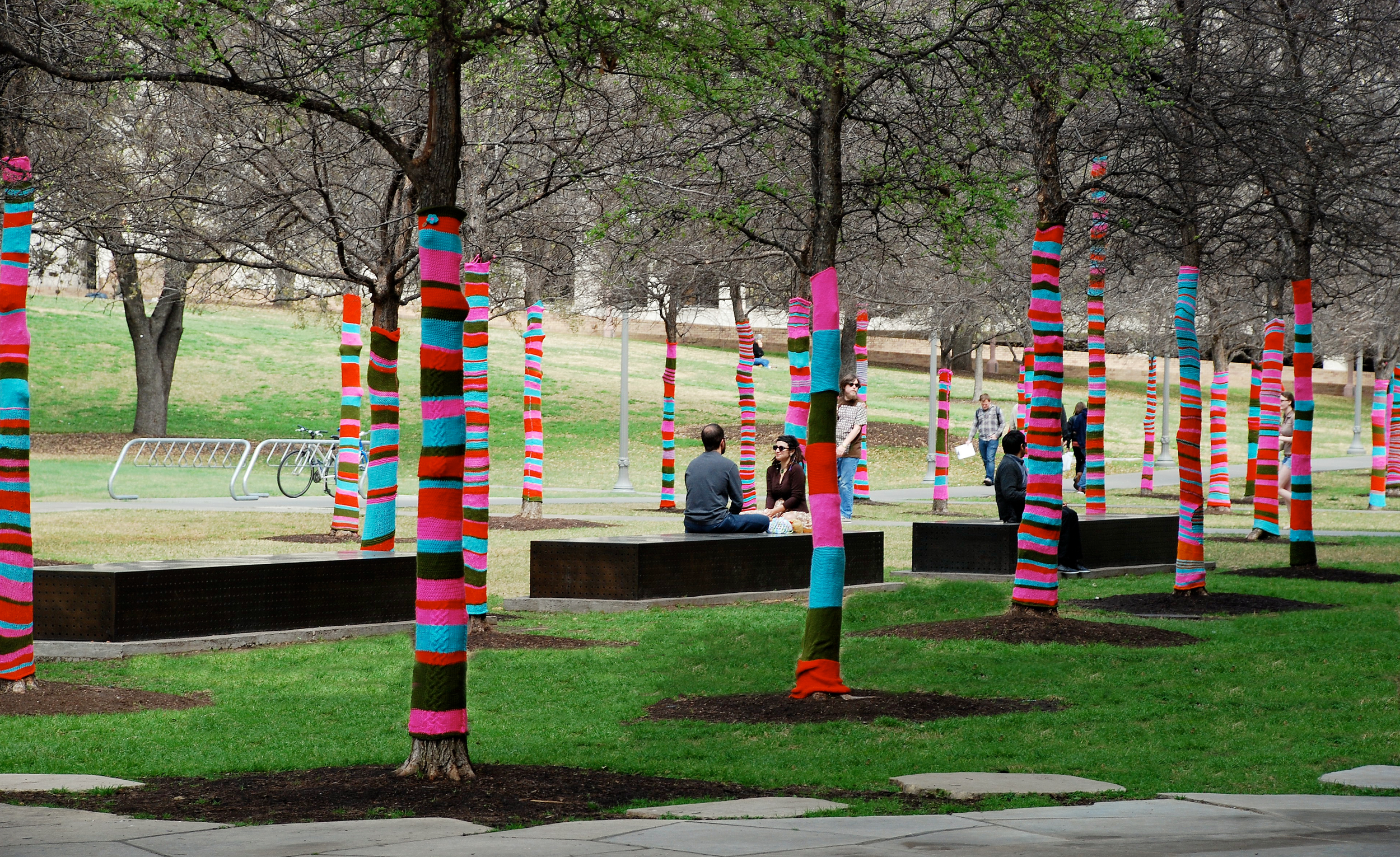 Blanton Museum of Art — PWP-6