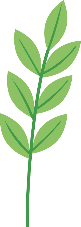 共写自然新故事｜番禺绿地参与式规划开放日暨自然体验活动报名啦-23