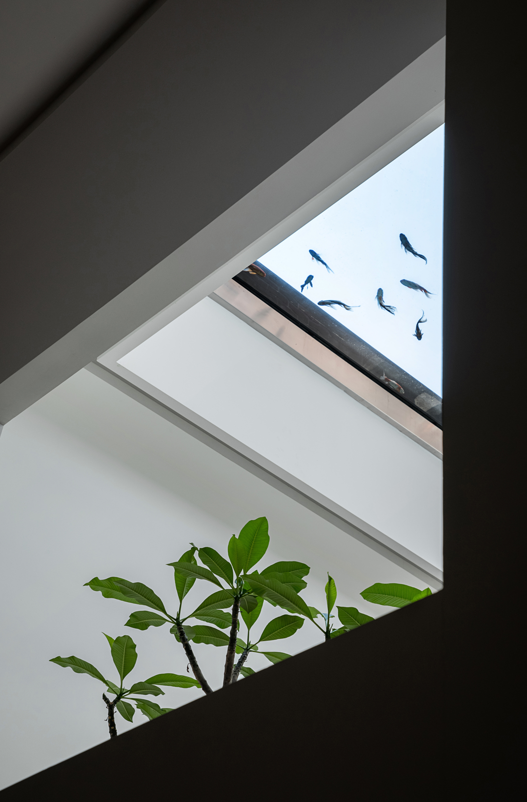 二十四院丨中国南京丨陈熠,肖锋-82