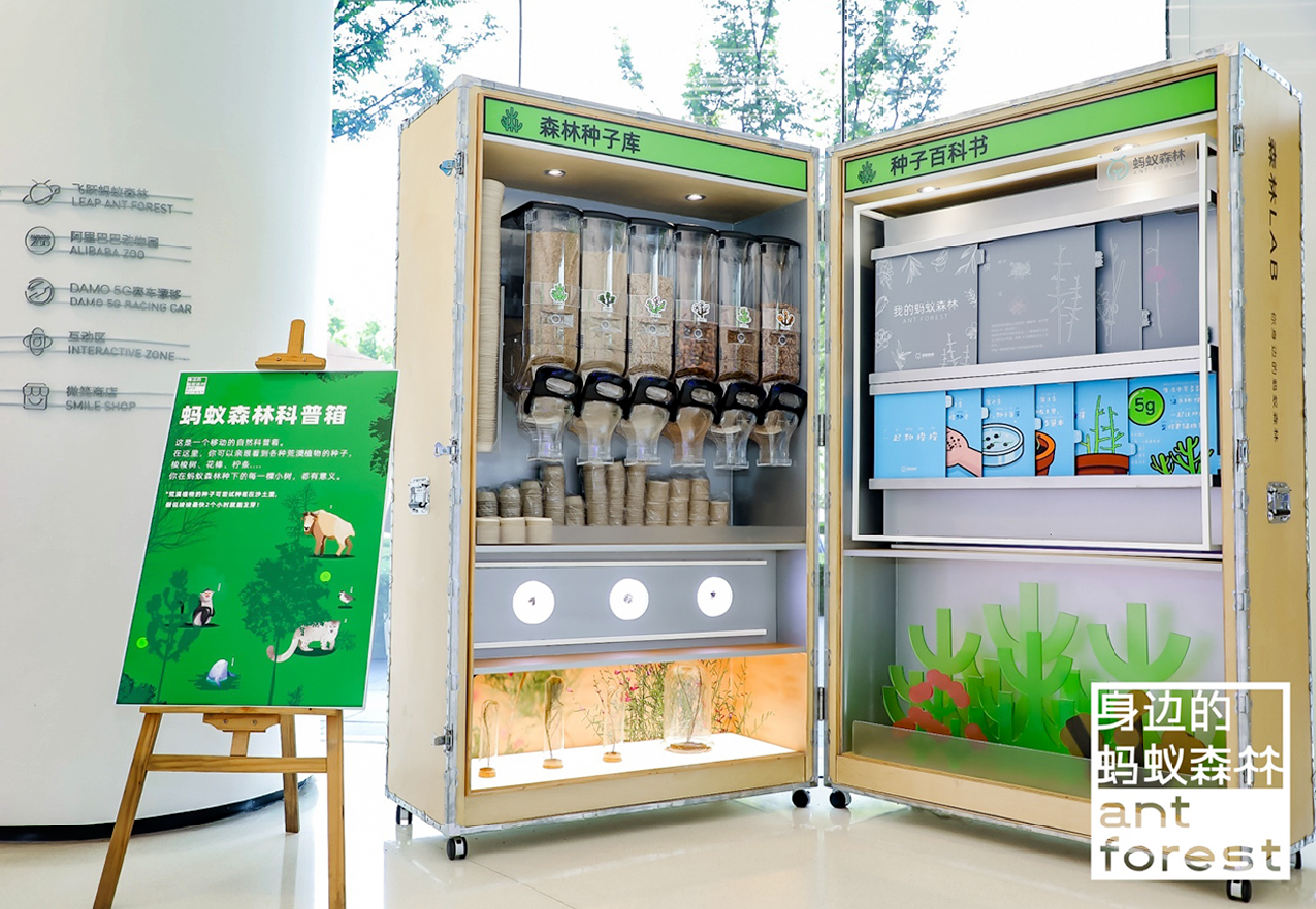 《森林LAB · 城市里的荒漠森林》互动展览丨中国杭州丨蚂蚁森林×不是美术馆-30