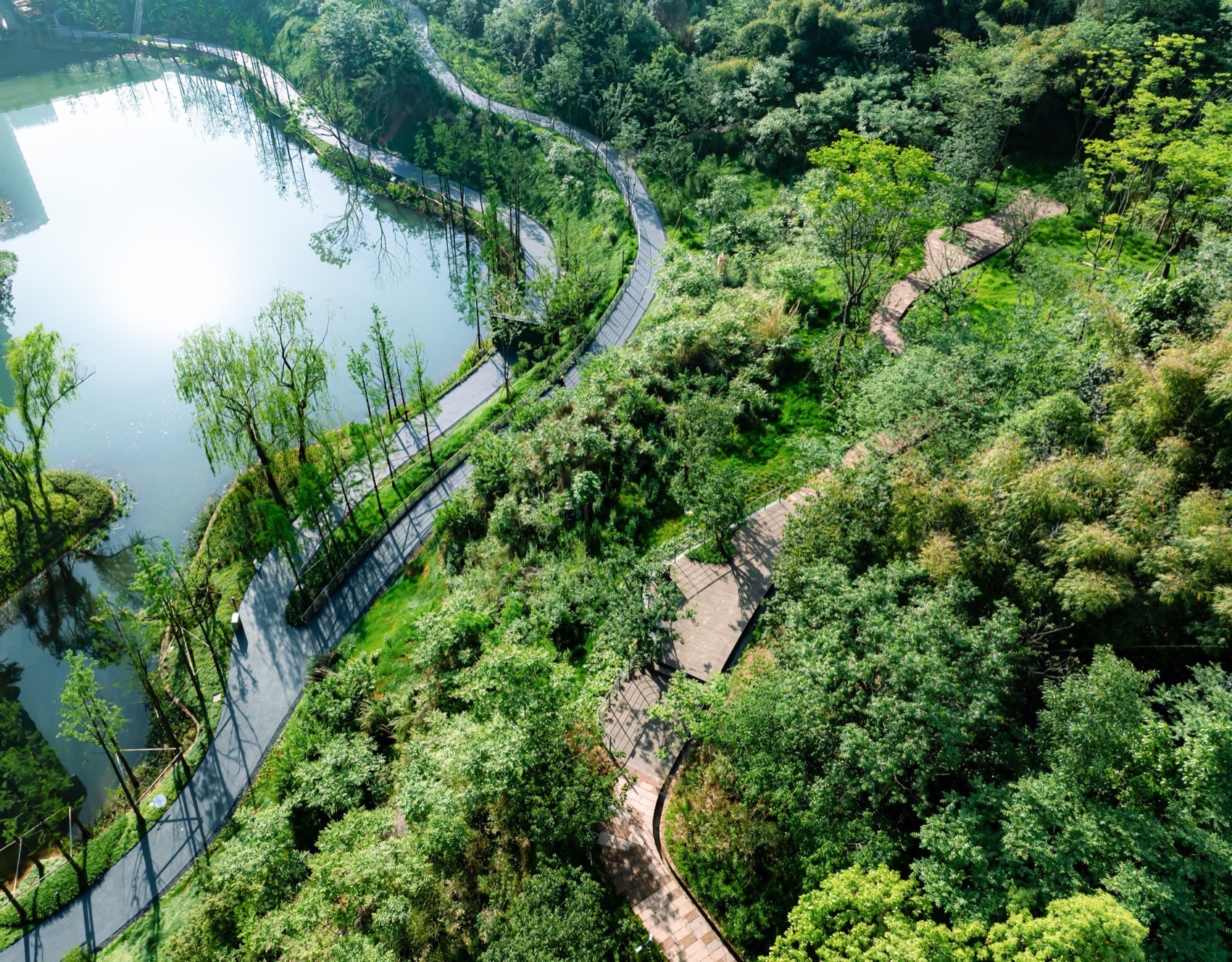麓野公园丨中国成都丨四川乐道景观设计有限公司-50