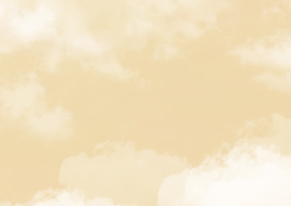 毕设 城市规划-27